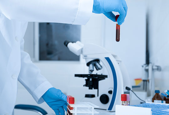 Test and Measurement Services 